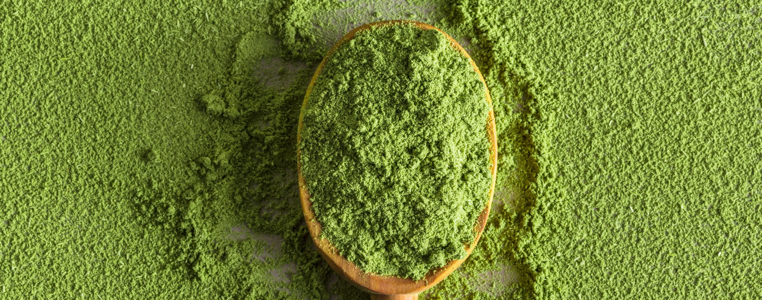 Spoon filled with fine green superfood powder on a surface covered with green powder.