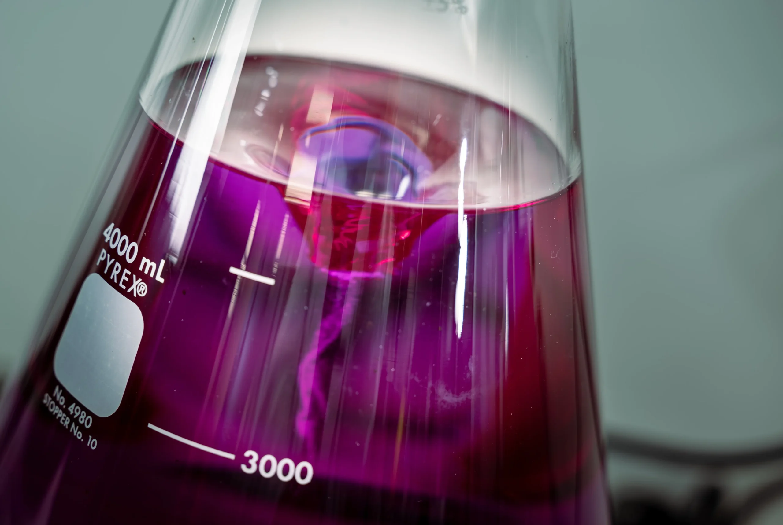 Close-up of a purple chemical solution in a graduated laboratory flask used for scientific research and analysis.